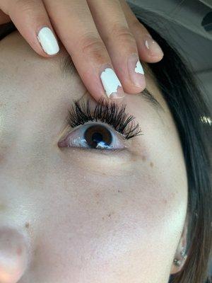 Right after getting them done, still in car. Lashes are glued to skin in clumps.