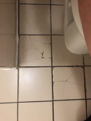 Crack in un even bathroom floor