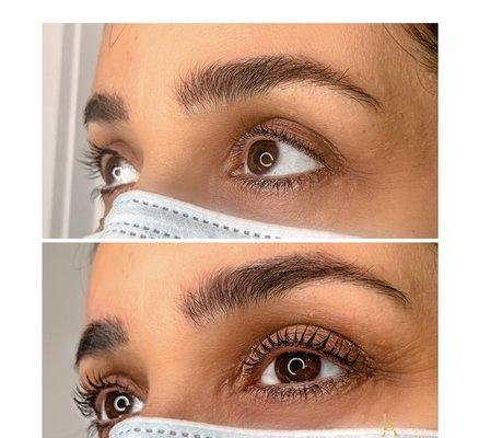 Lash Lift $40