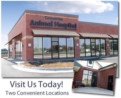 Companion Animal Hospital