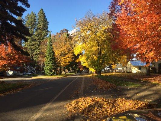 Fall and our beautiful colors.