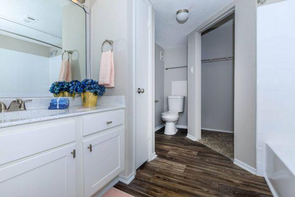 a bathroom with a sink and a toilet