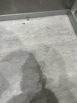 dirty elevator from animal droppings