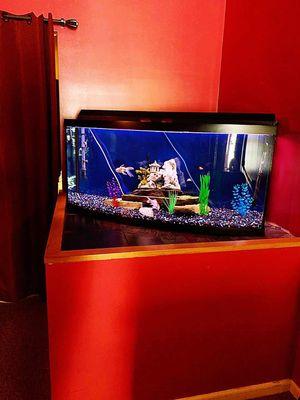 Fish Tank