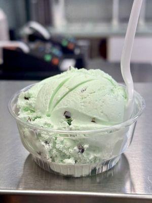 Mint Chocolate Chip