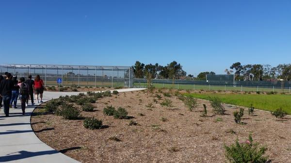 New landscaping around the new sports facilities