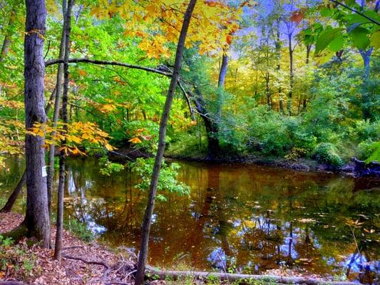 View from Farmstead Trail