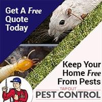 Tapout Termite & Pest Control