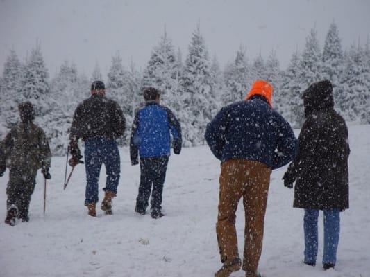 Going Into Snowy Trees