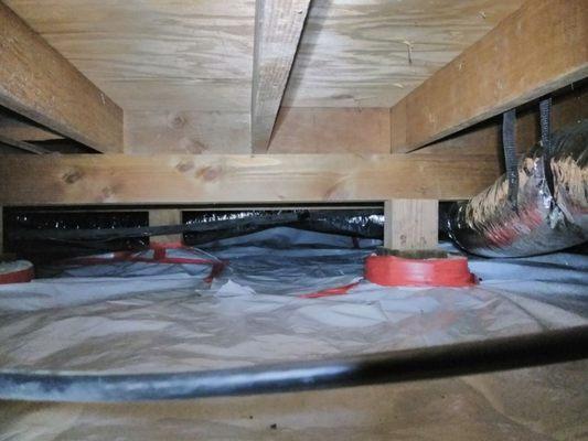 Vapor Barrier Moisture Barrier Crawl Space
 Rodent Solutions Pro | Rodent Proofing & Sanitation Oakland, CA