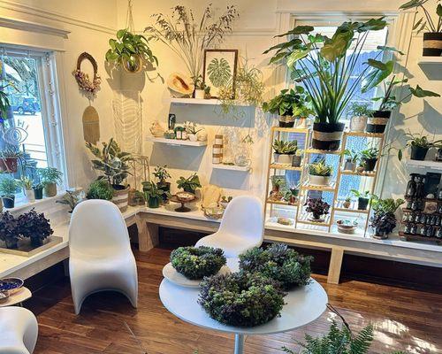 Our new shop bursting with natural home and garden treasures to create sacred rituals and reconnect with our natural world.