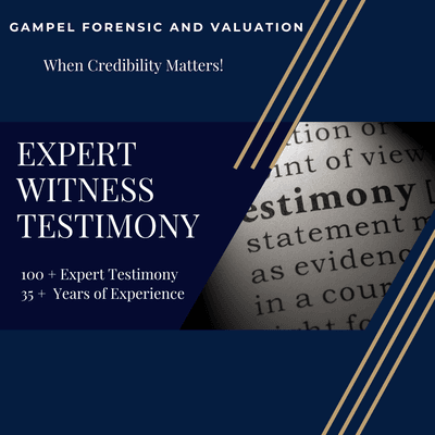 Peter Gampel| South Florida Expert Witness Testimony Litigation Support