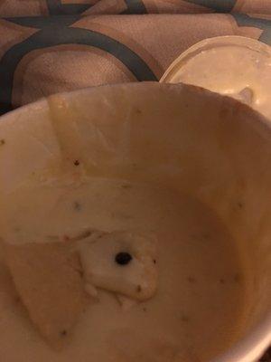 Queso dip with roach inside of it.