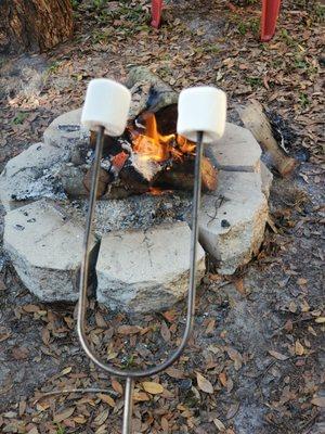 Fire pit for S'mores