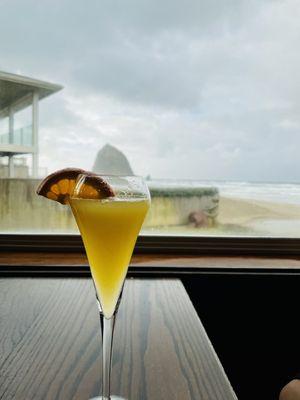 Mimosa with haystack rock in the backdrop