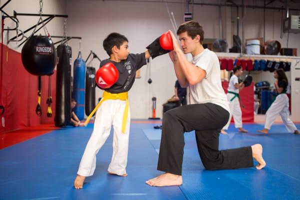 Bay Area Martial Arts Academy