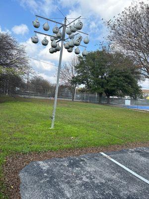 Purple Martin nests