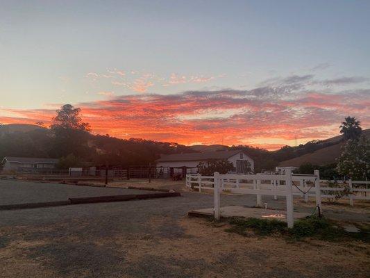 Wash rack, Round Pen, Main Barn