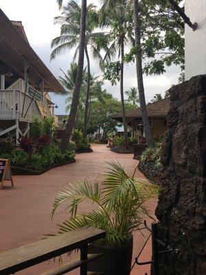 Down the path from Tommy Bahamas, which is on the far left.