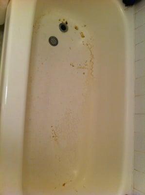 my apartment flooded, this is what wouldn't go down the drain. And they left it overnight without contacting me at all