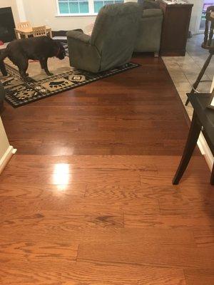 All we wanted is to have a nice hardwood floors all the way.but now we have to deal and be annoyed everyday with our 2-tone floors!!!!