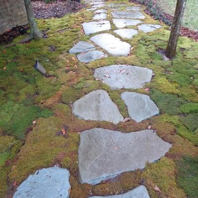 Stone Patios and Walkways