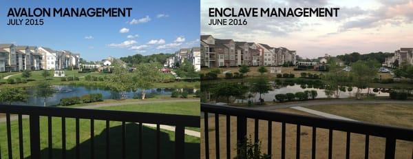 Enclave at Charles Pond