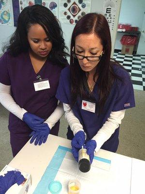 Medical Students practicing Urinalysis Lab