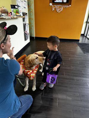 Pawsitive Speech Therapy