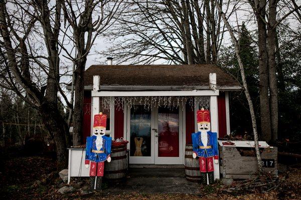 best seattle holiday mini session photographer - anna nodolf at Pfaff's tree farm