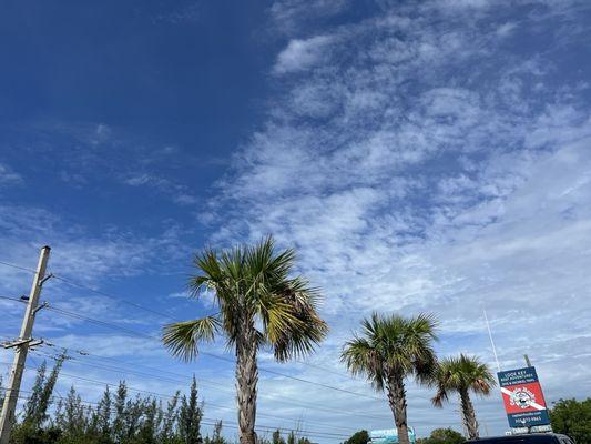 The sky after they drove us out to the reef then Canceled due to a tiny swell and no white caps.