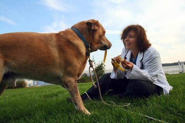 Dr. Jennifer Trachtman and Buddy