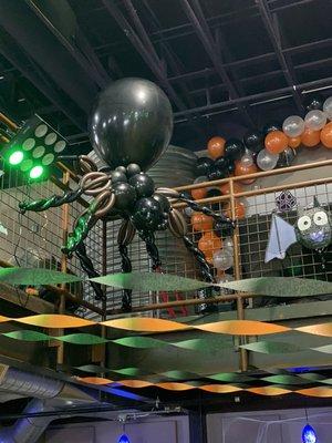 Big Balloon Spider