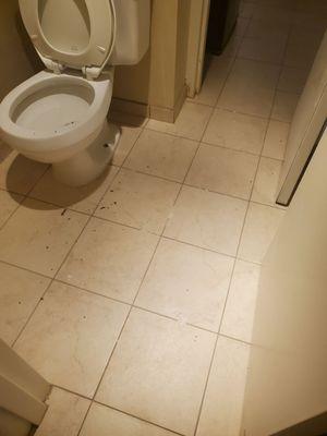 Debris across the floor and in the opened toilet