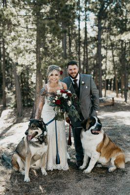 Pet-friendly ceremonies | Black Forest by Wedgewood Weddings