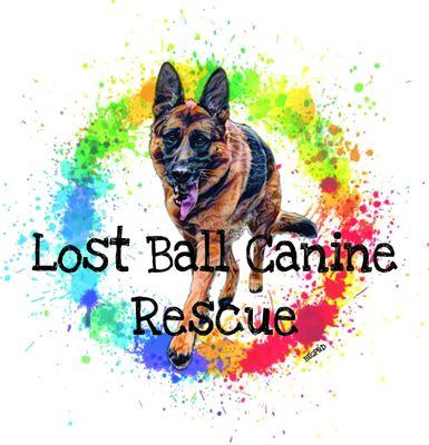 Lost Ball Canine Rescue