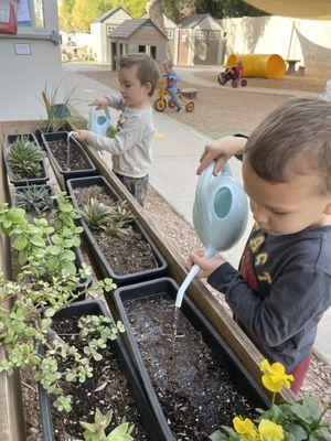 Taking care of our sensory garden