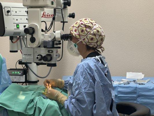 Microsurgery being performed at Animal Eye Center.