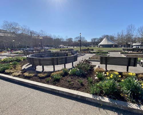 Benches, tent, and field