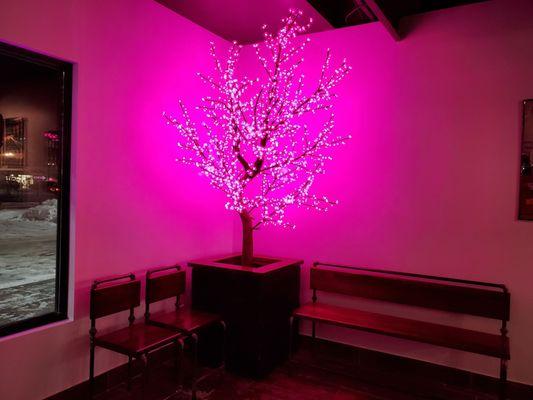 Awesome LED tree.