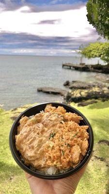 Spicy Ahi & Spicy Lobster Salad Poke Bowl  (2 choice poke bowl) $16.50