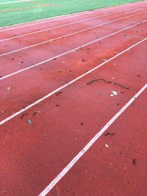 Debris on track today, no doubt from the tornado than landed a few miles away yesterday!