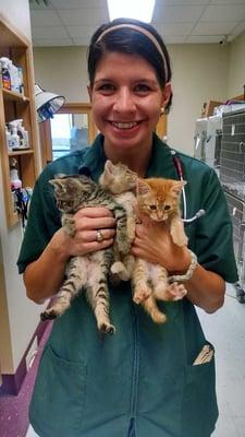 Dr. O'toole with sweet kittens.