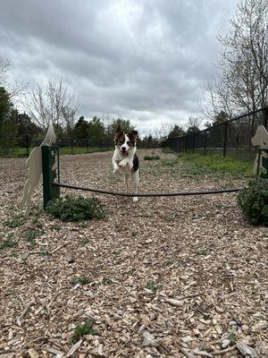 Agility equipment