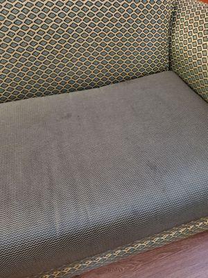 Stains on pullout couch