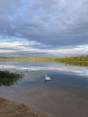 Great fishing lake!