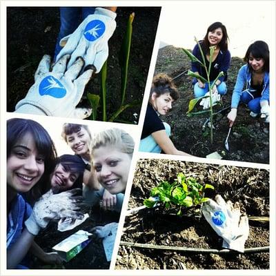 Planting for meals with Project Angel Food :)