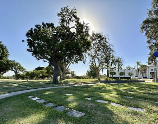 Loma Vista Memorial Park