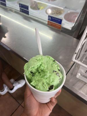 Mint Chocolate Chip - 2 scoops