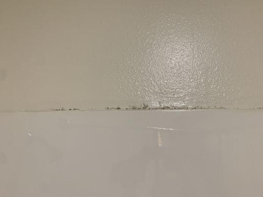 Mold in bathroom